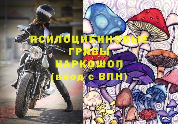Альфа ПВП Абаза