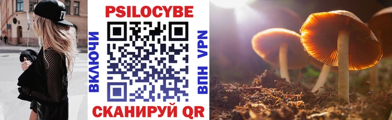 Псилоцибиновые грибы Cubensis  это наркотические препараты  Мещовск 